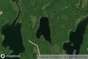 Falcon Lake