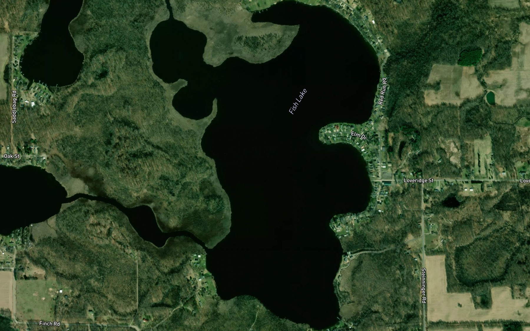 Satellite map of the Fish Lake