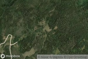 Spruce Spring