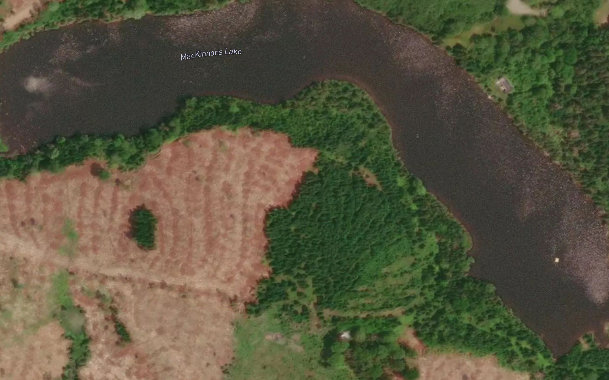 MacKinnons Lake