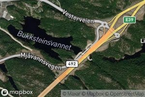Bukksteinsvannet
