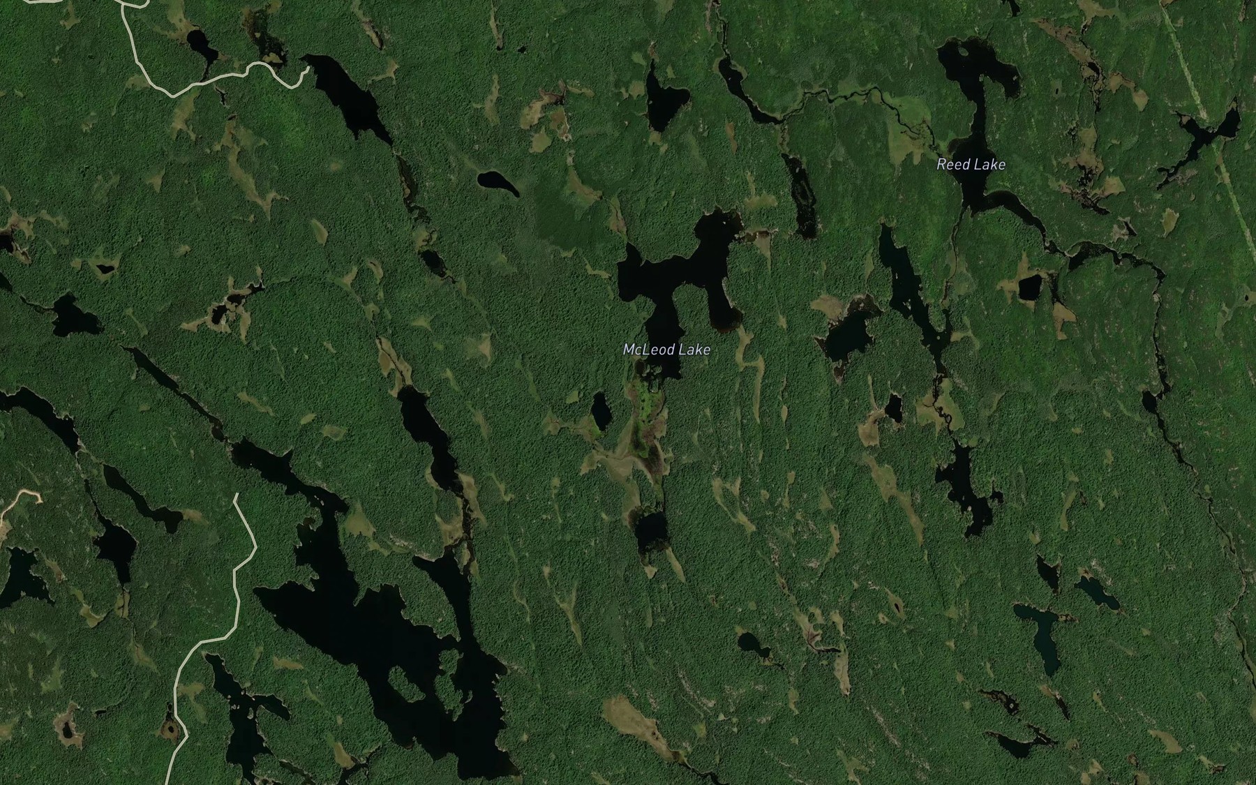 Satellite map of the McLeod Creek