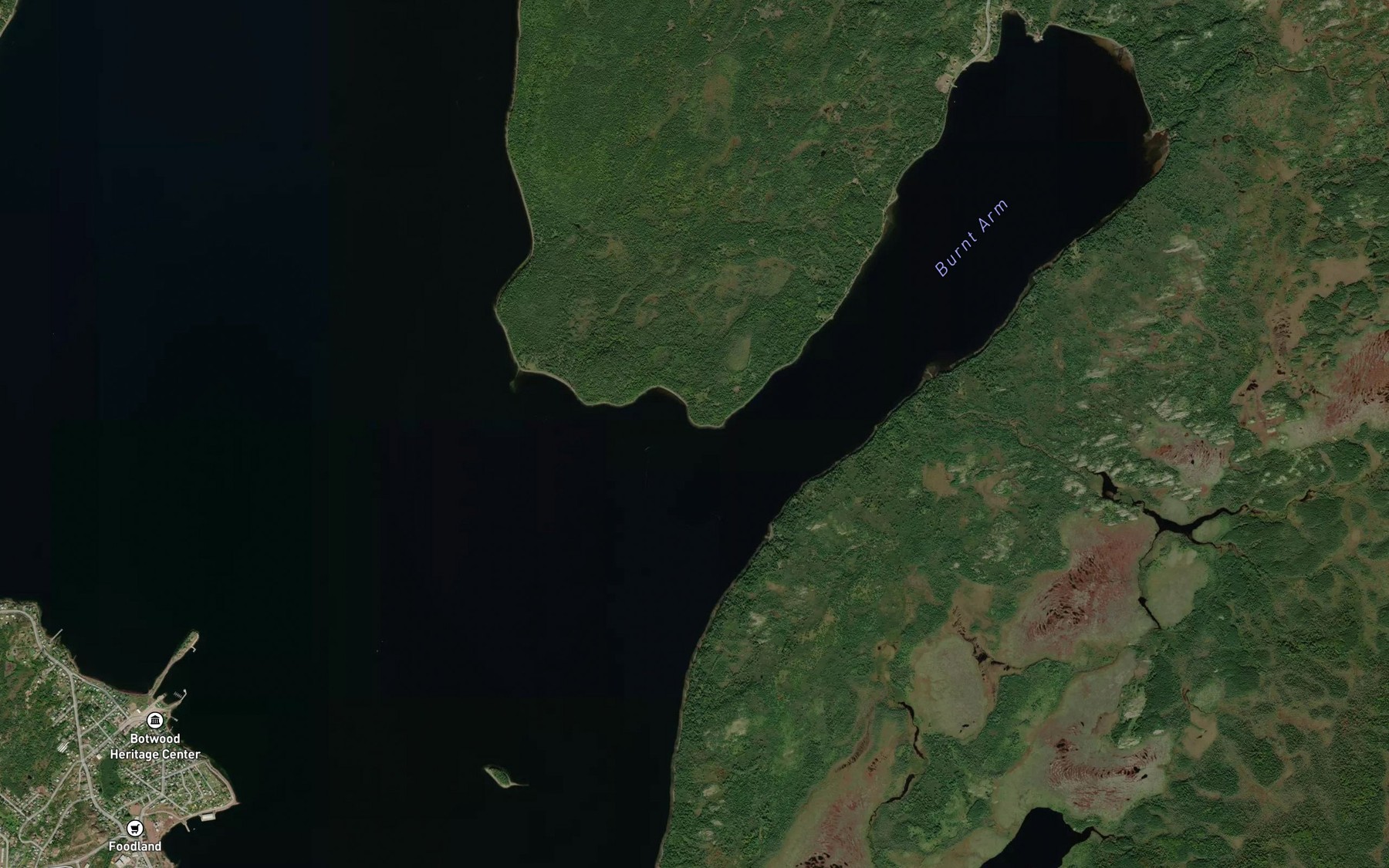 Satellite map of the Jesse Cove