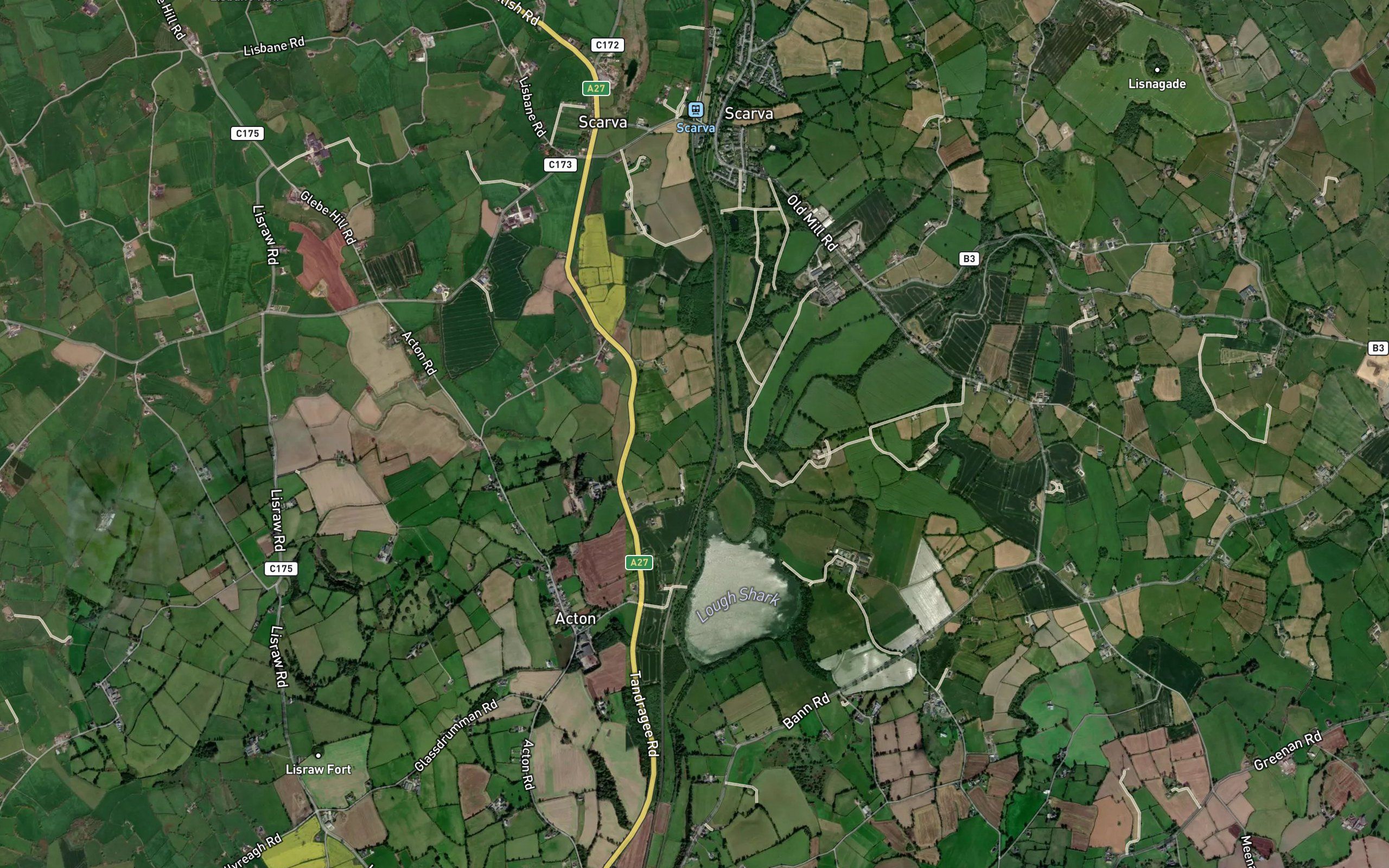 Lough Shark
