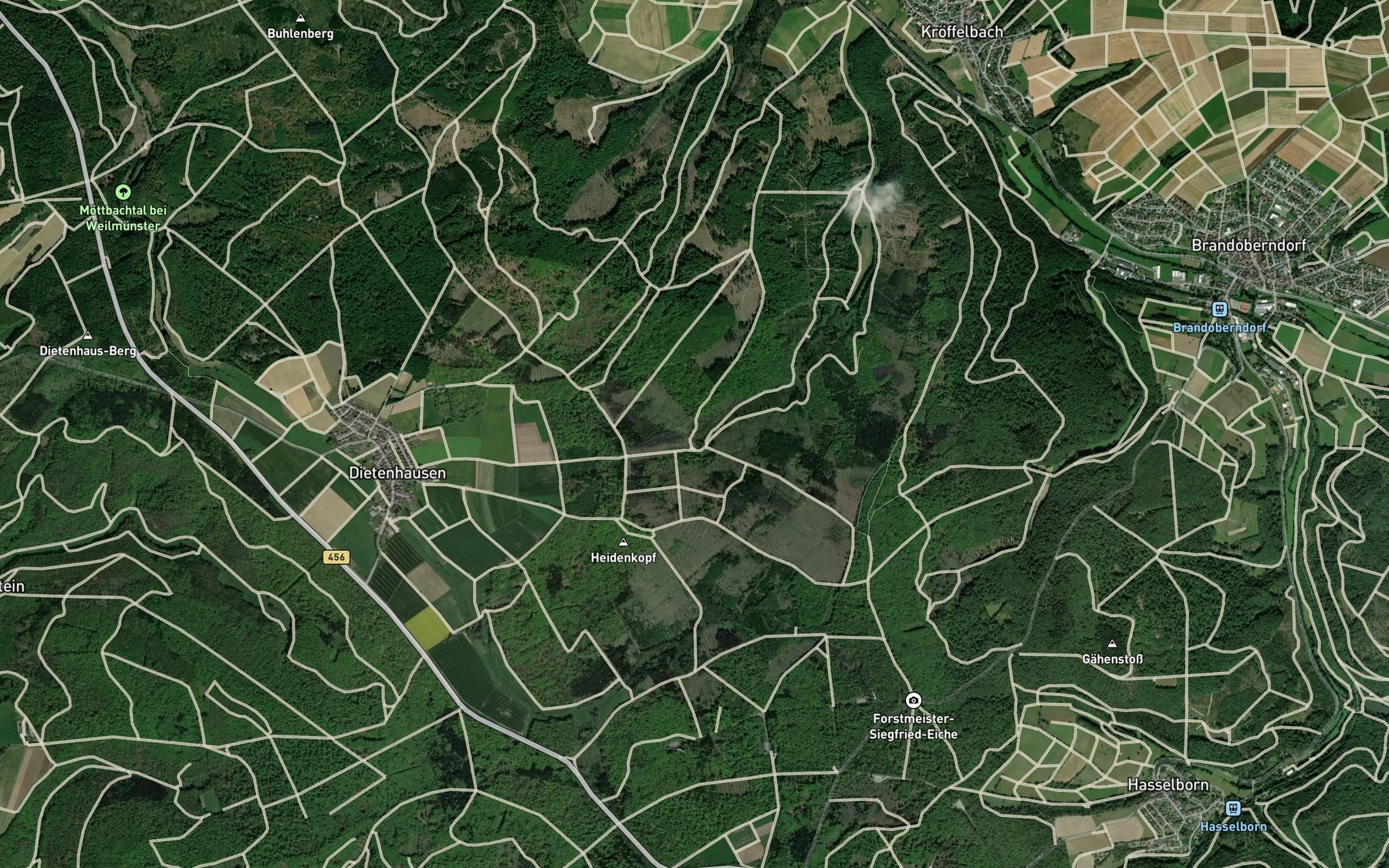 Satellite map of the Schmittenborn