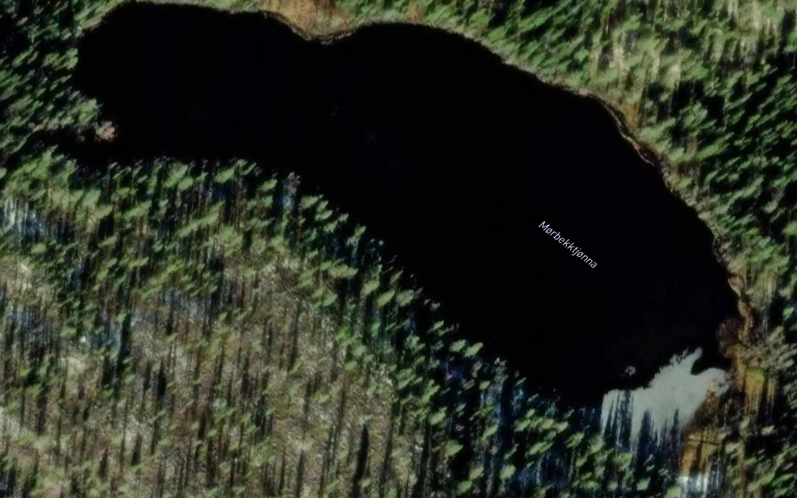 Morbekktjonna