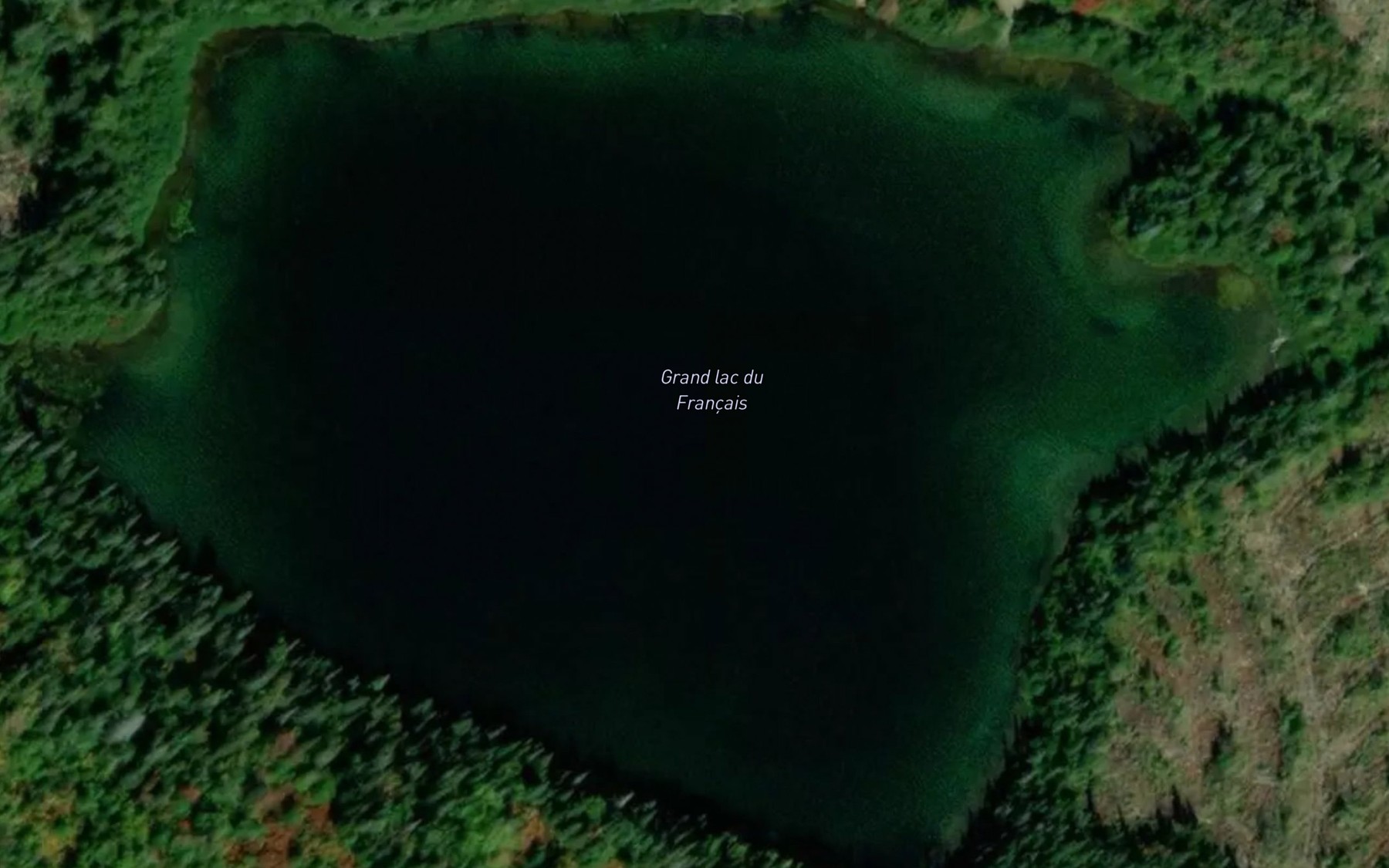 Satellite map of the Grand lac du Francais