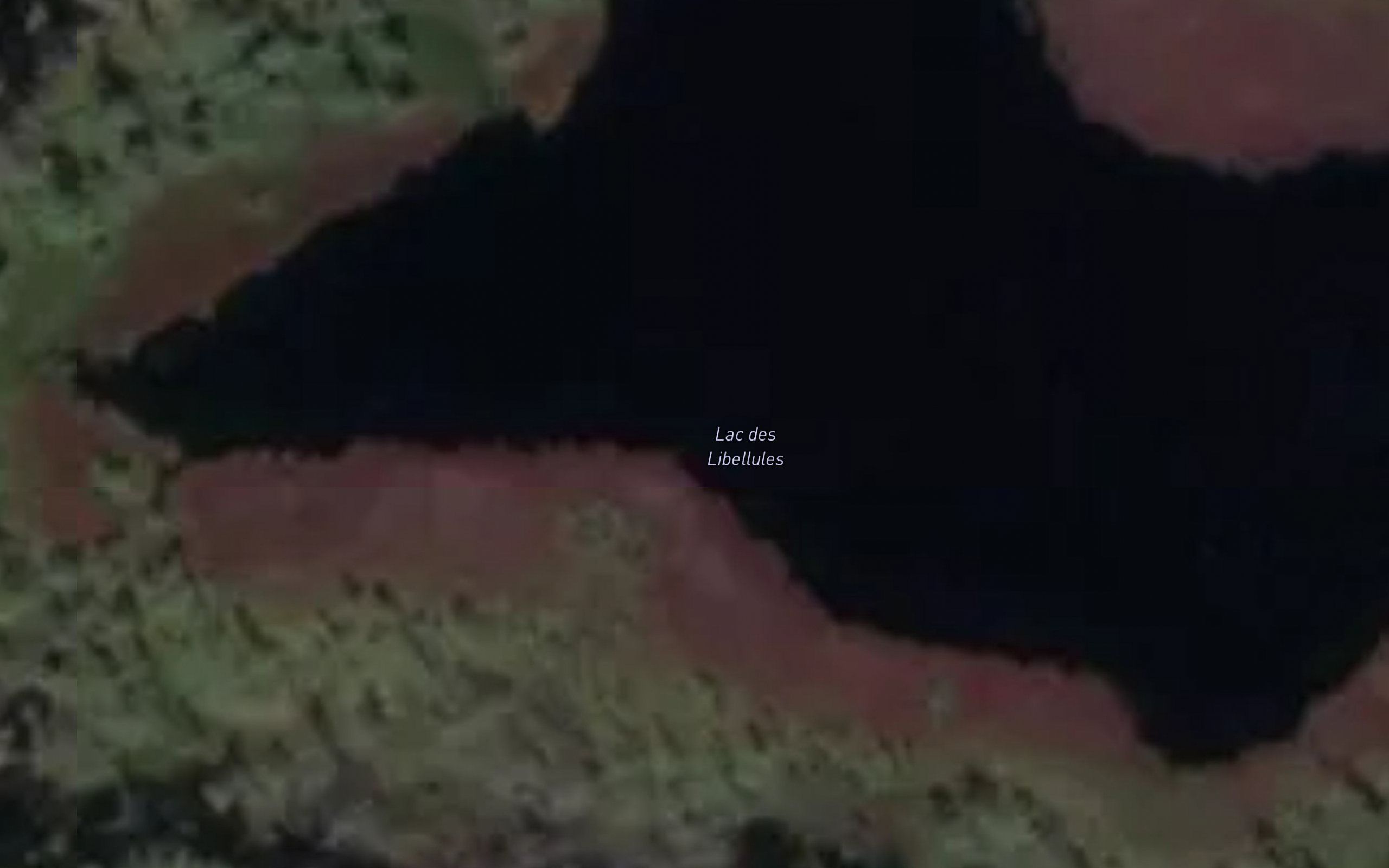 Lac des Libellules