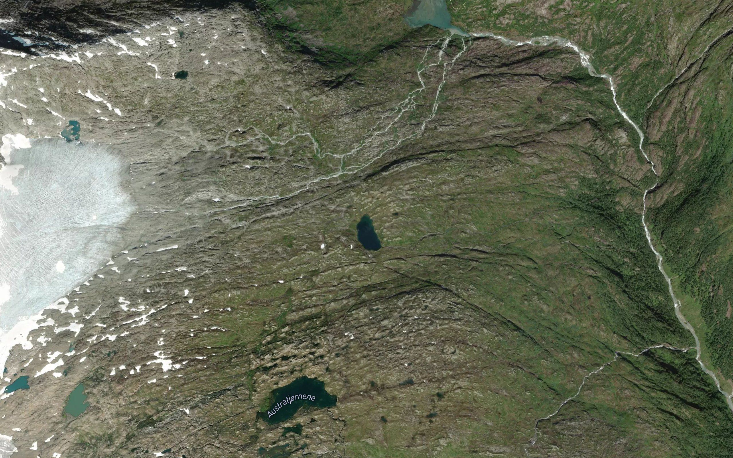 Fjellslitjorni