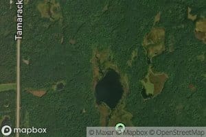 Moose Creek