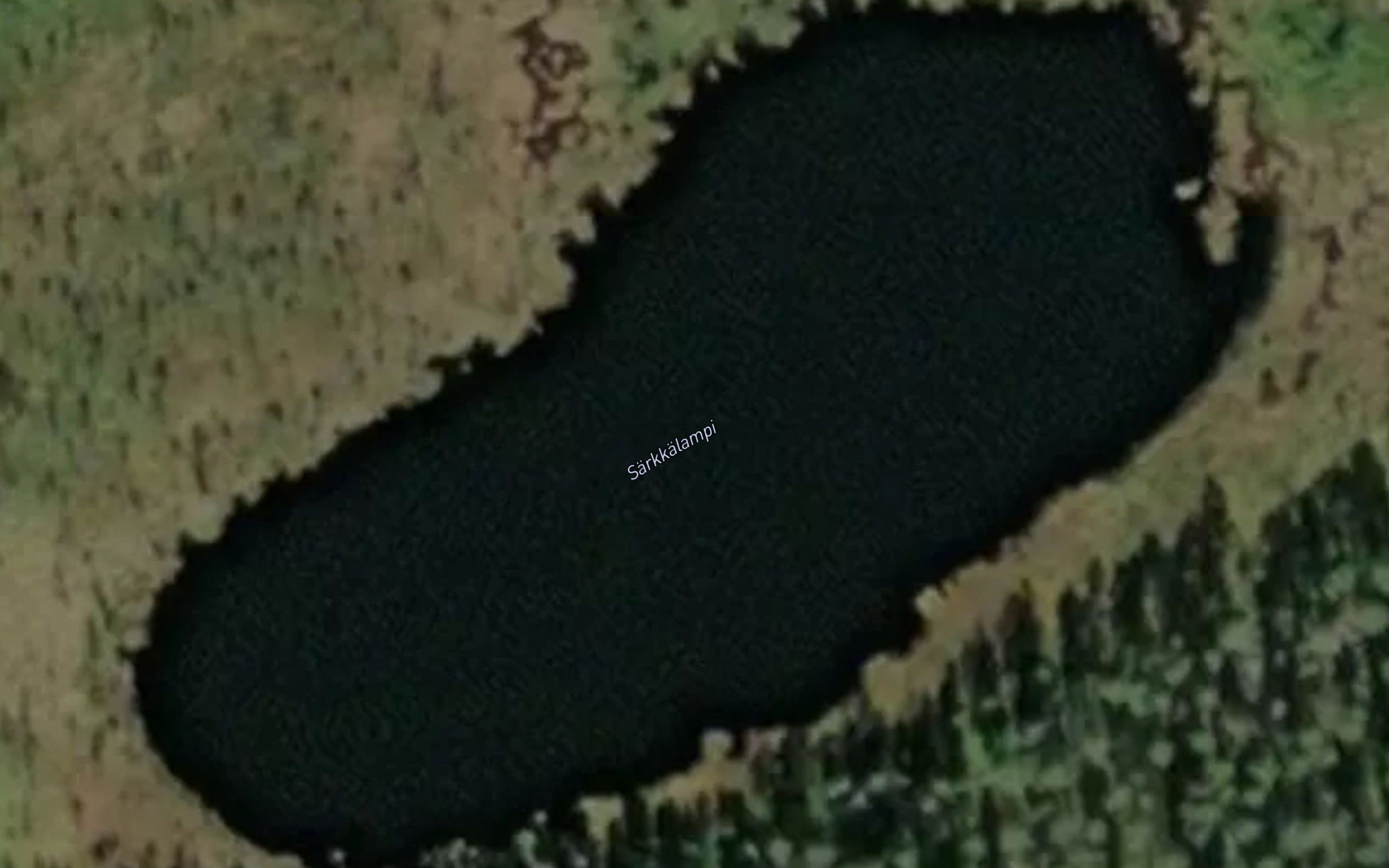 Sarkkalampi