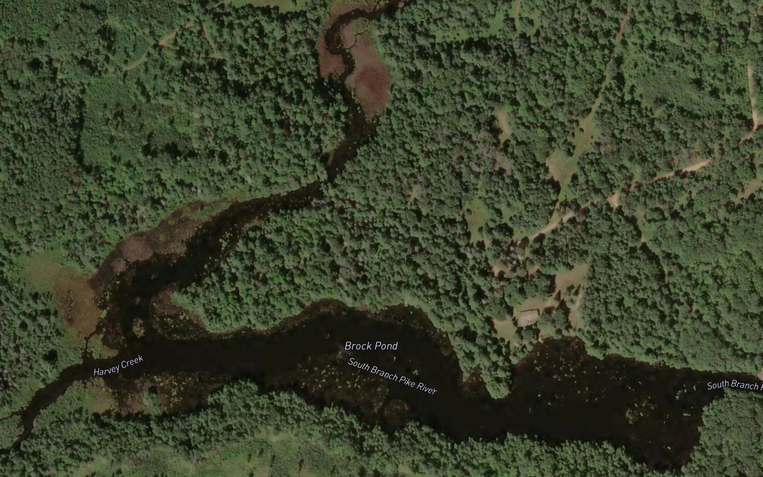 Brock Pond