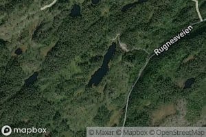Grunntjorn