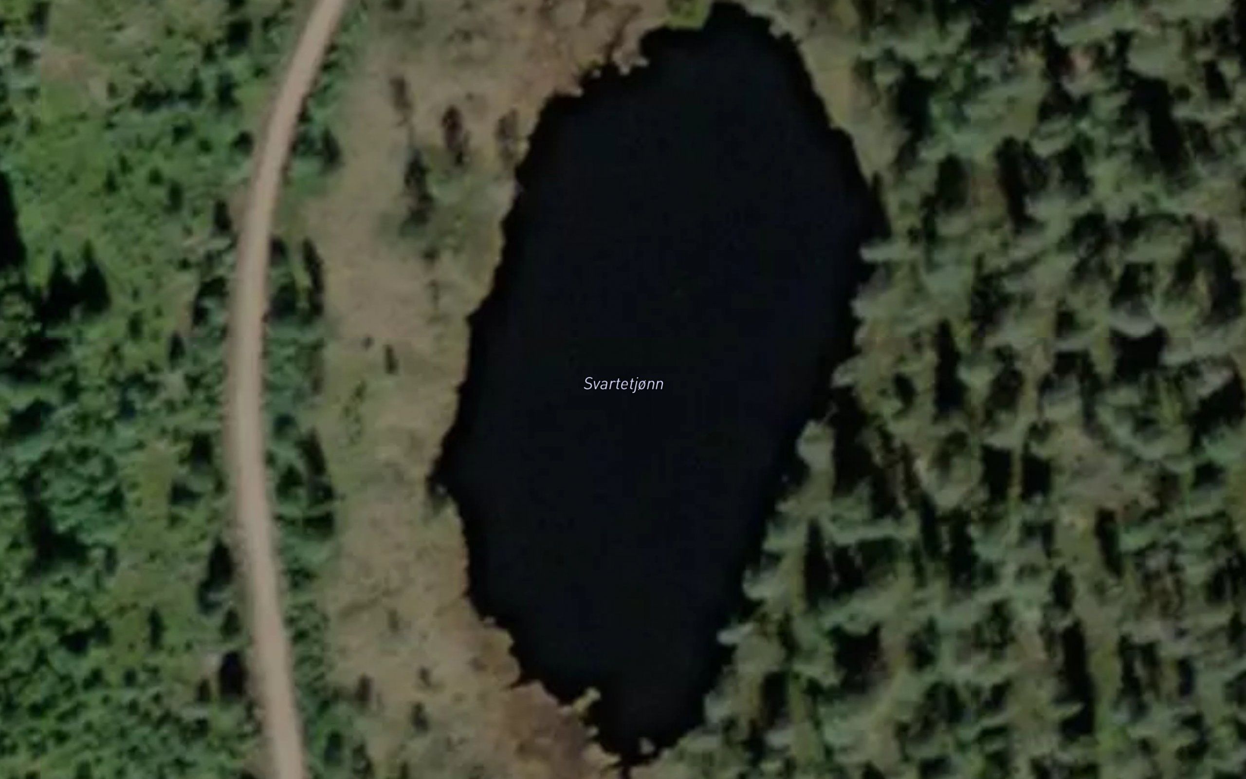 Svartetjorn