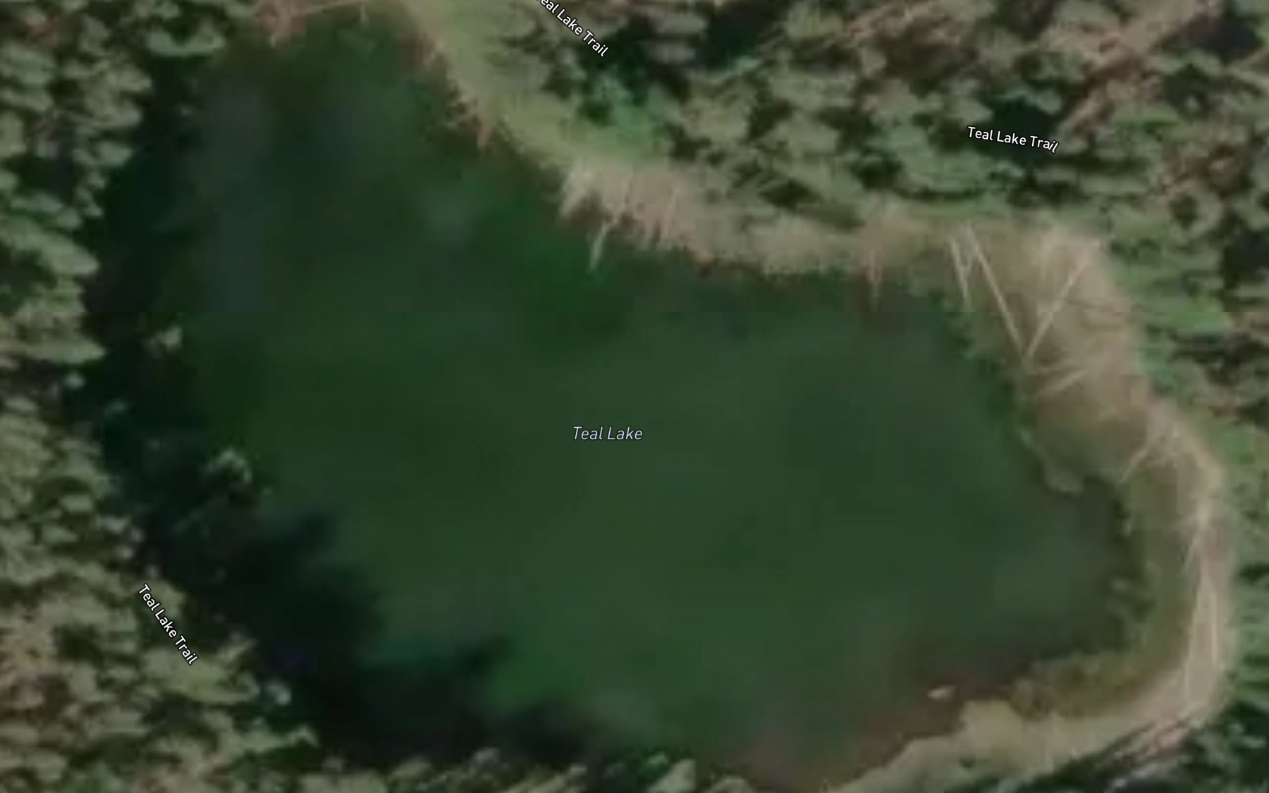 Satellite map of the Teal Lake