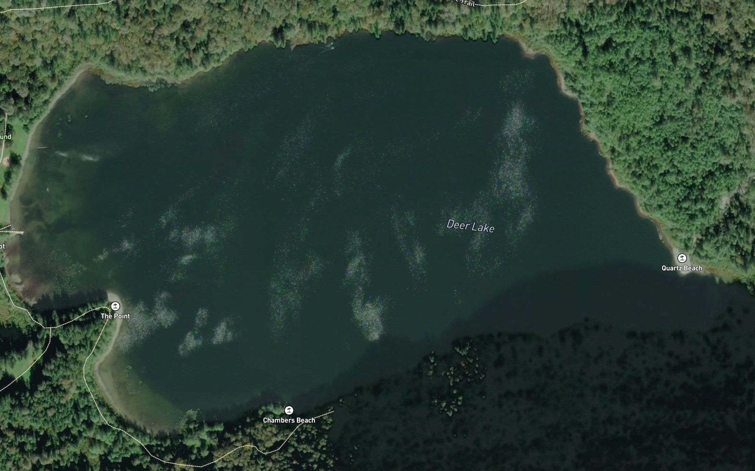 Deer Lake
