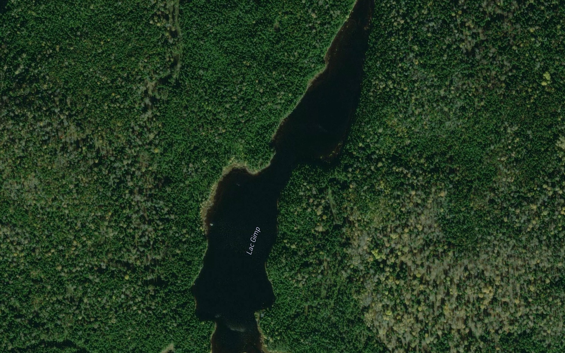 Satellite map of the Lac Gimp