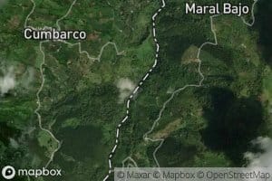 Quebrada El Bosque
