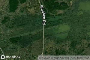 Hindman Branch