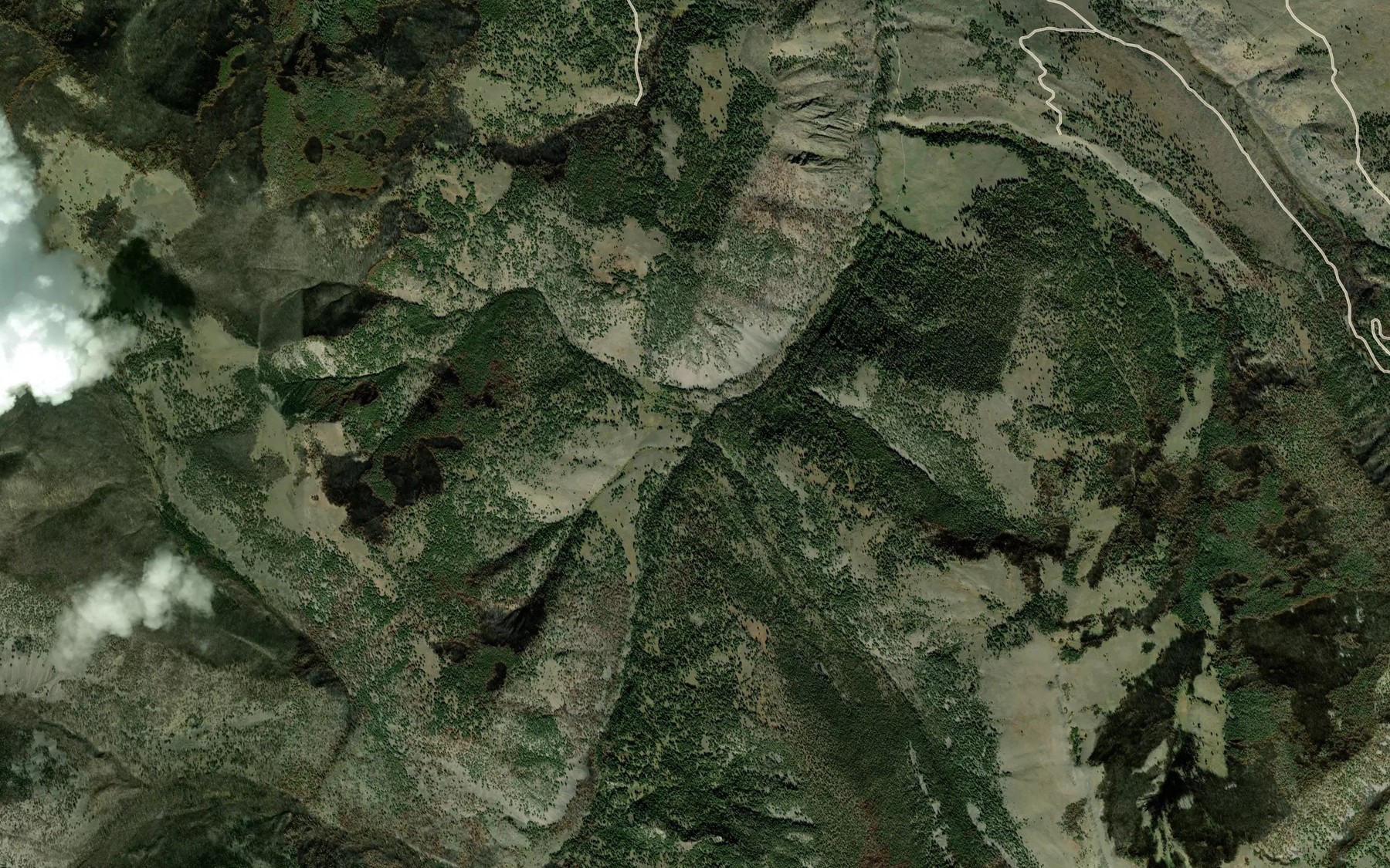Satellite map of the Cooper Creek