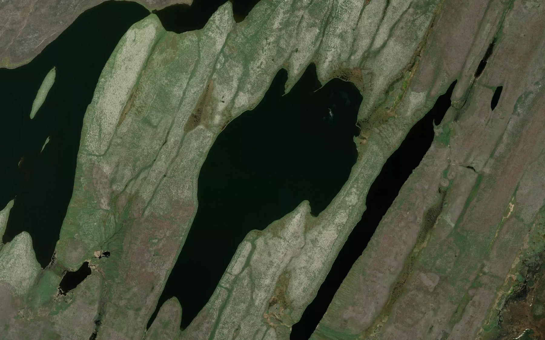 Satellite map of the Cory Lake