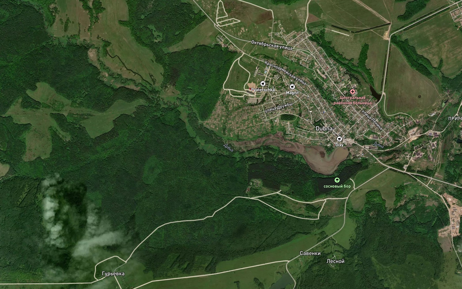 Satellite map of the Dubna