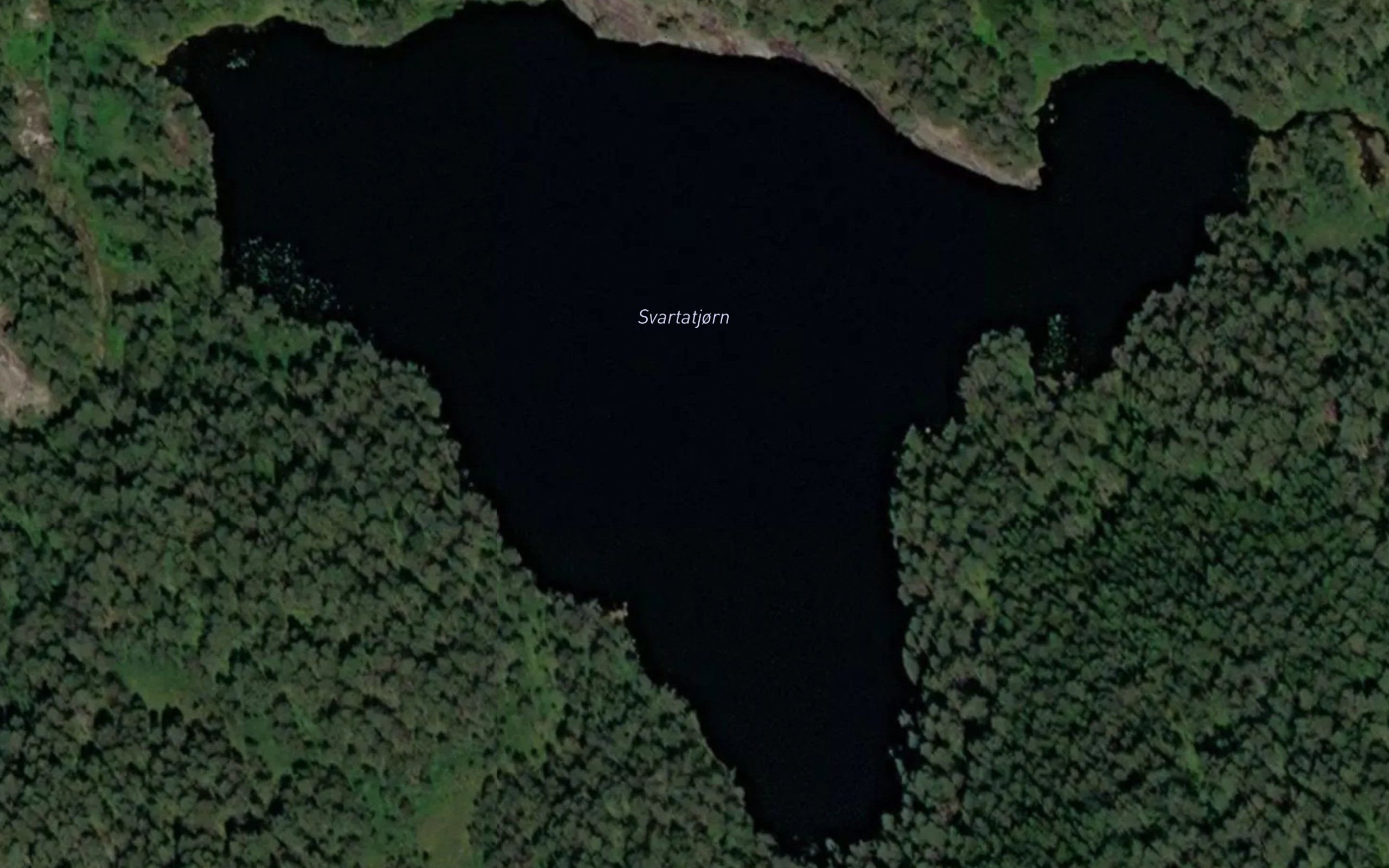 Svartatjorn