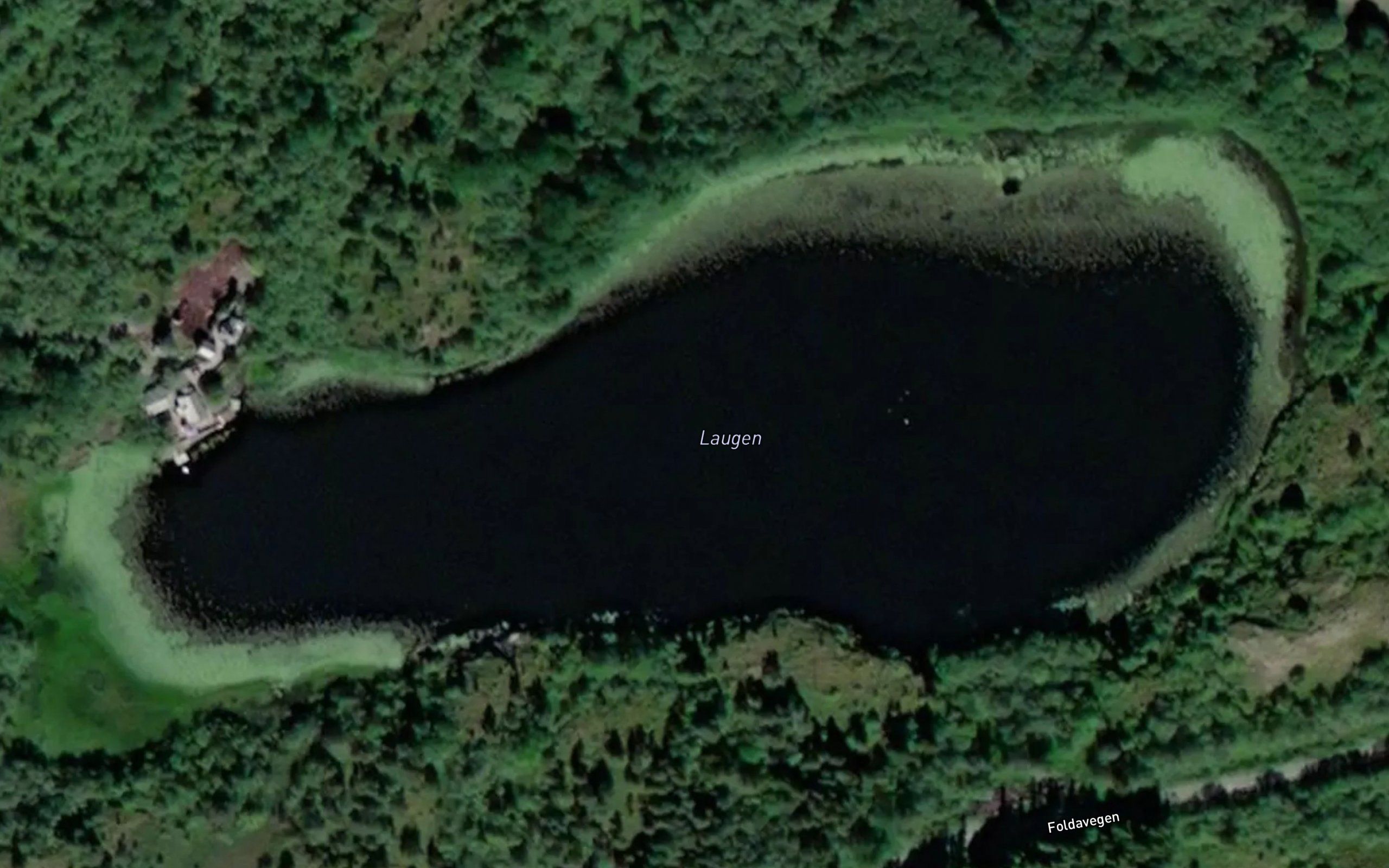 Laugen