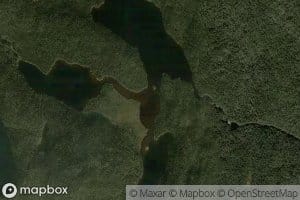 Lac Otter