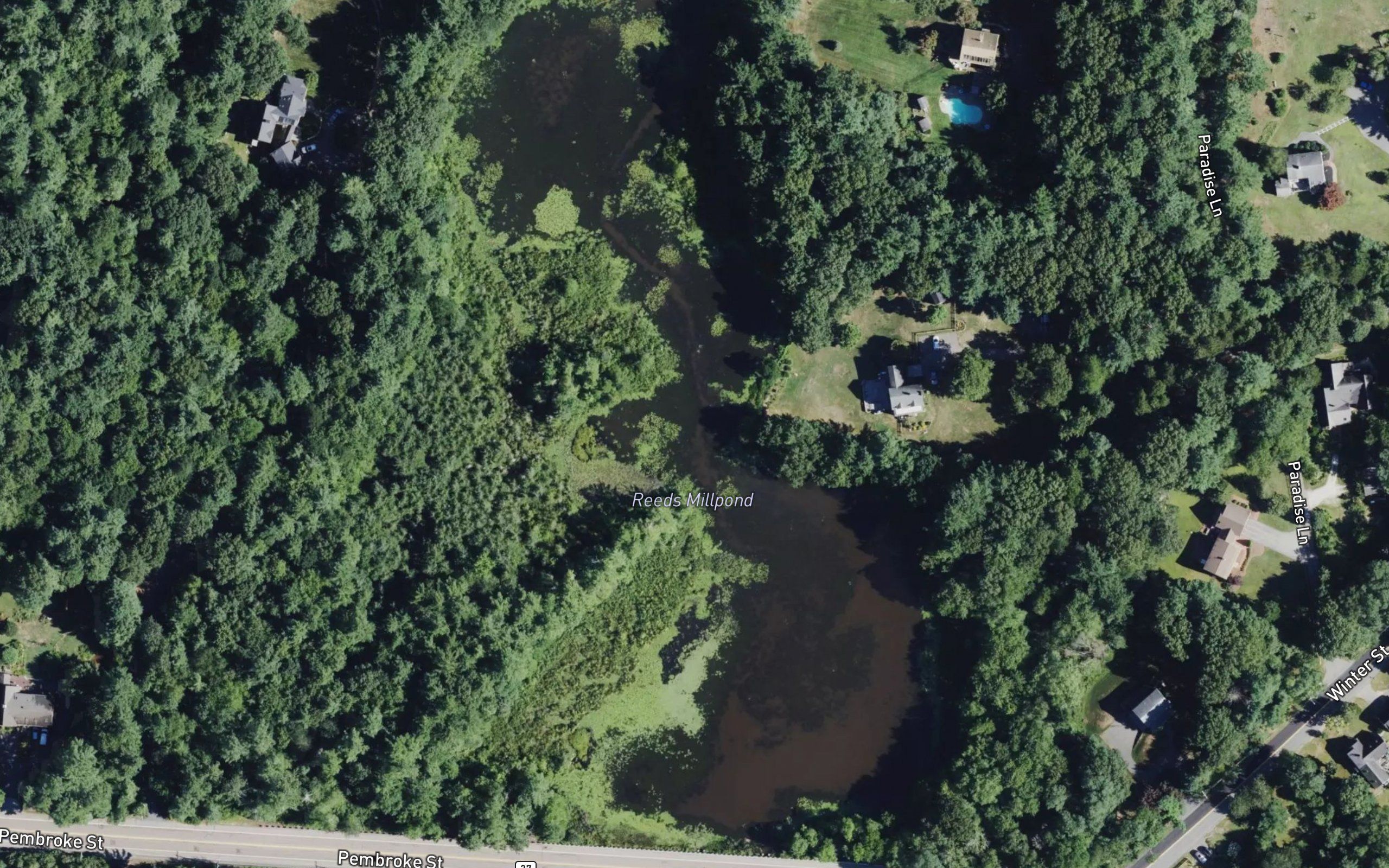 Reeds Pond (upper)