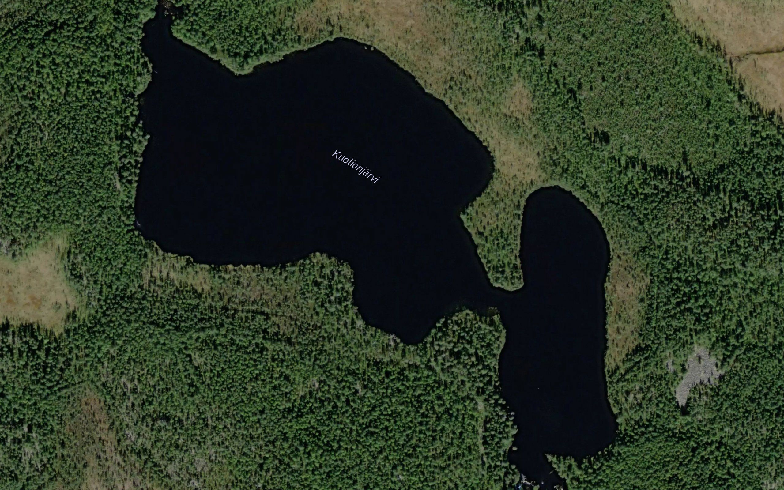 Kuolionjarvi