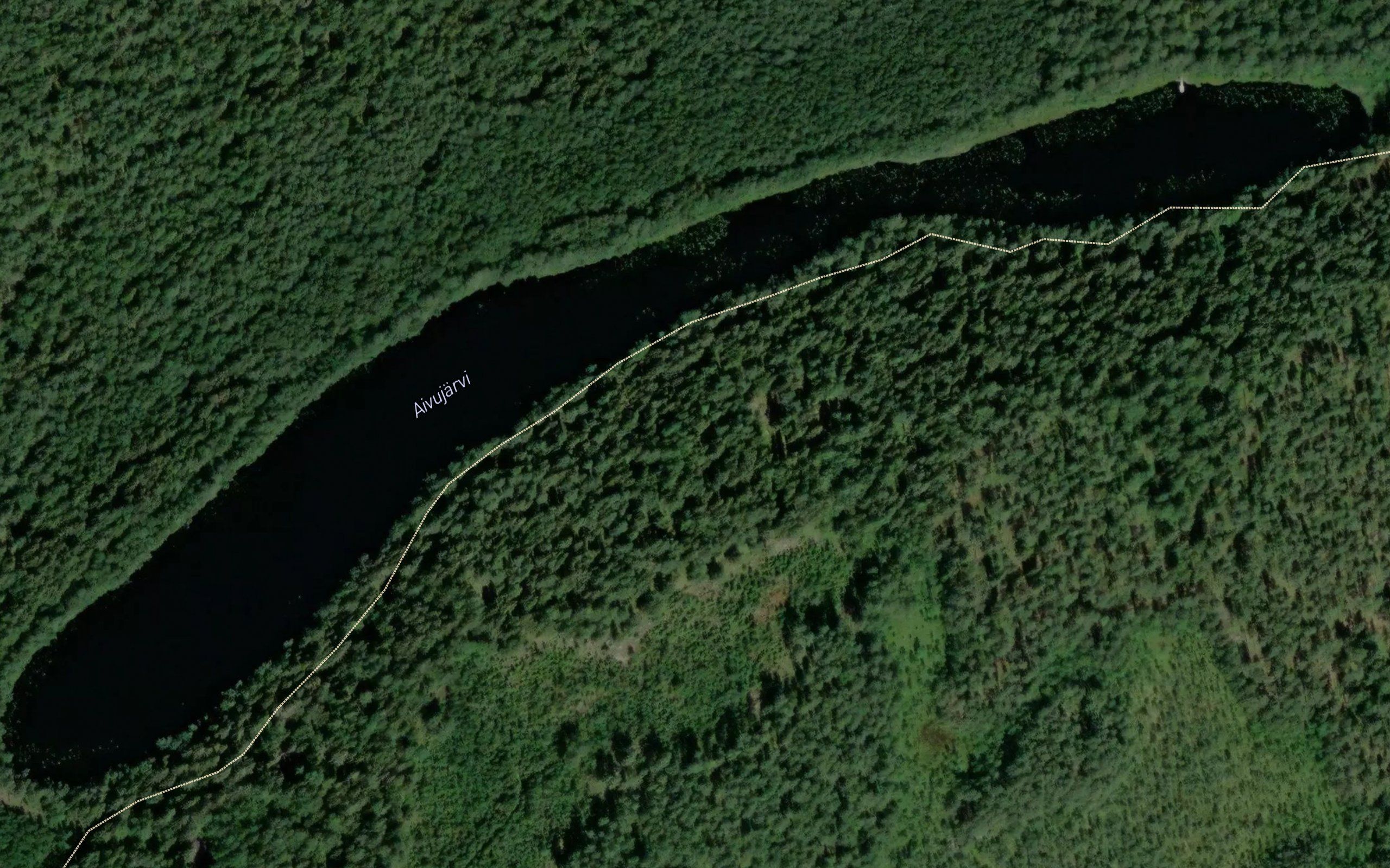 Aivujarvi