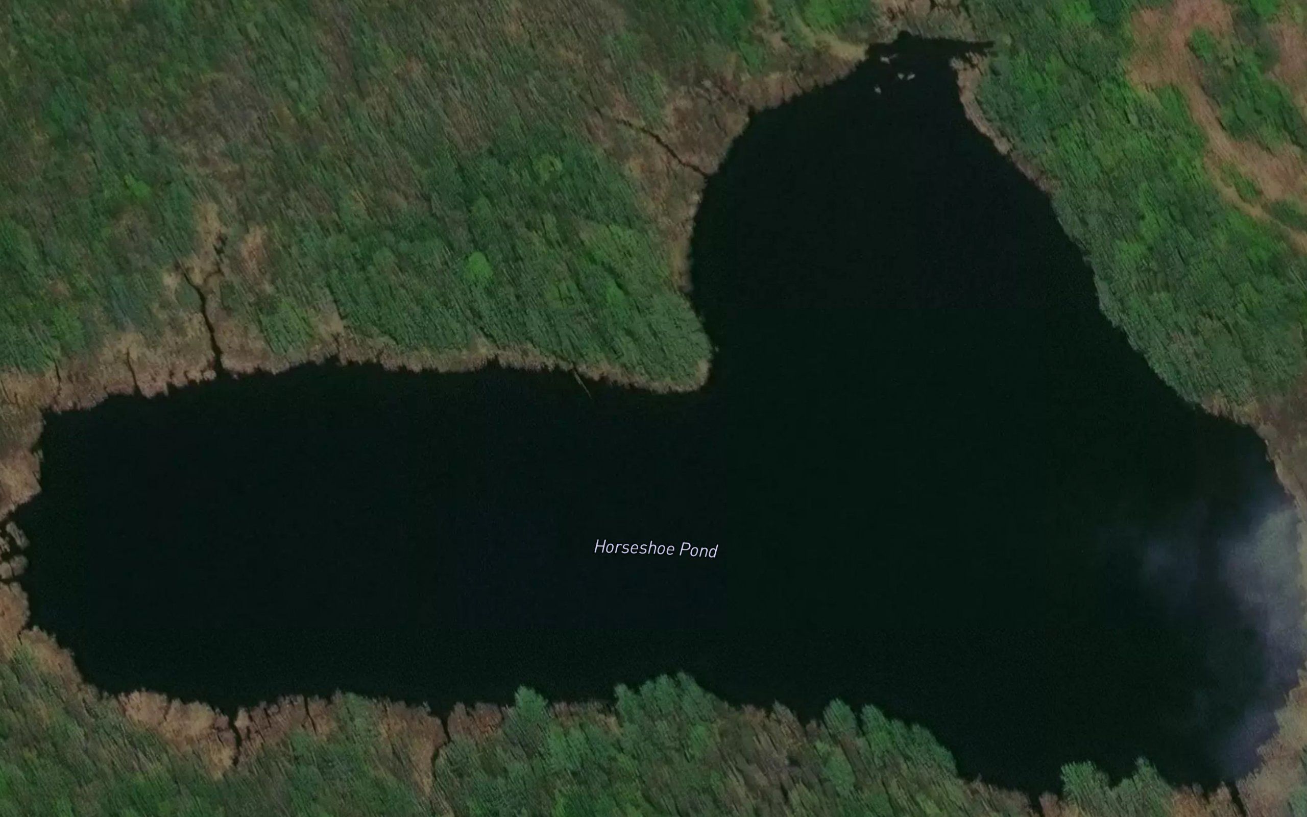 Horseshoe Pond