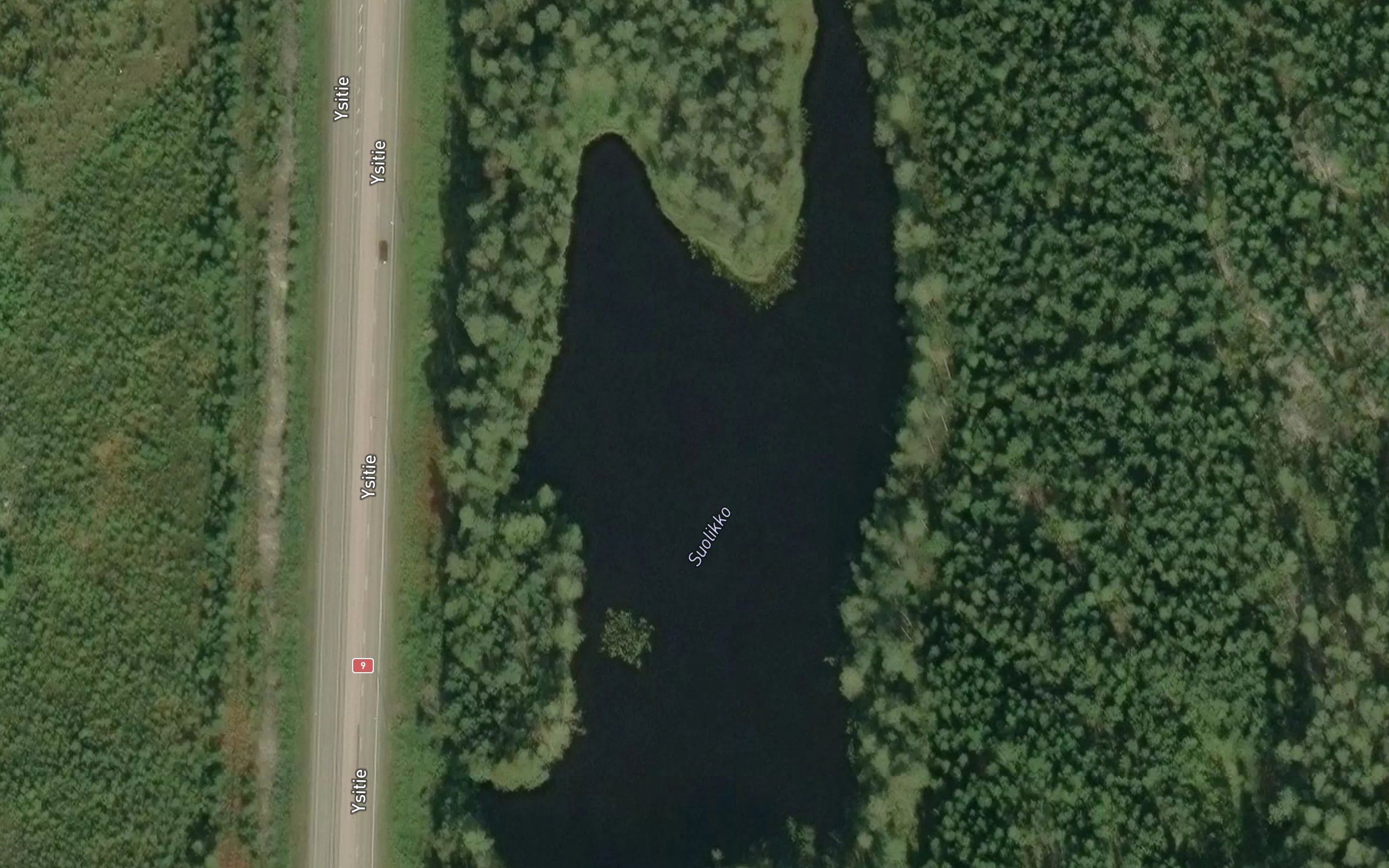 Suolikko