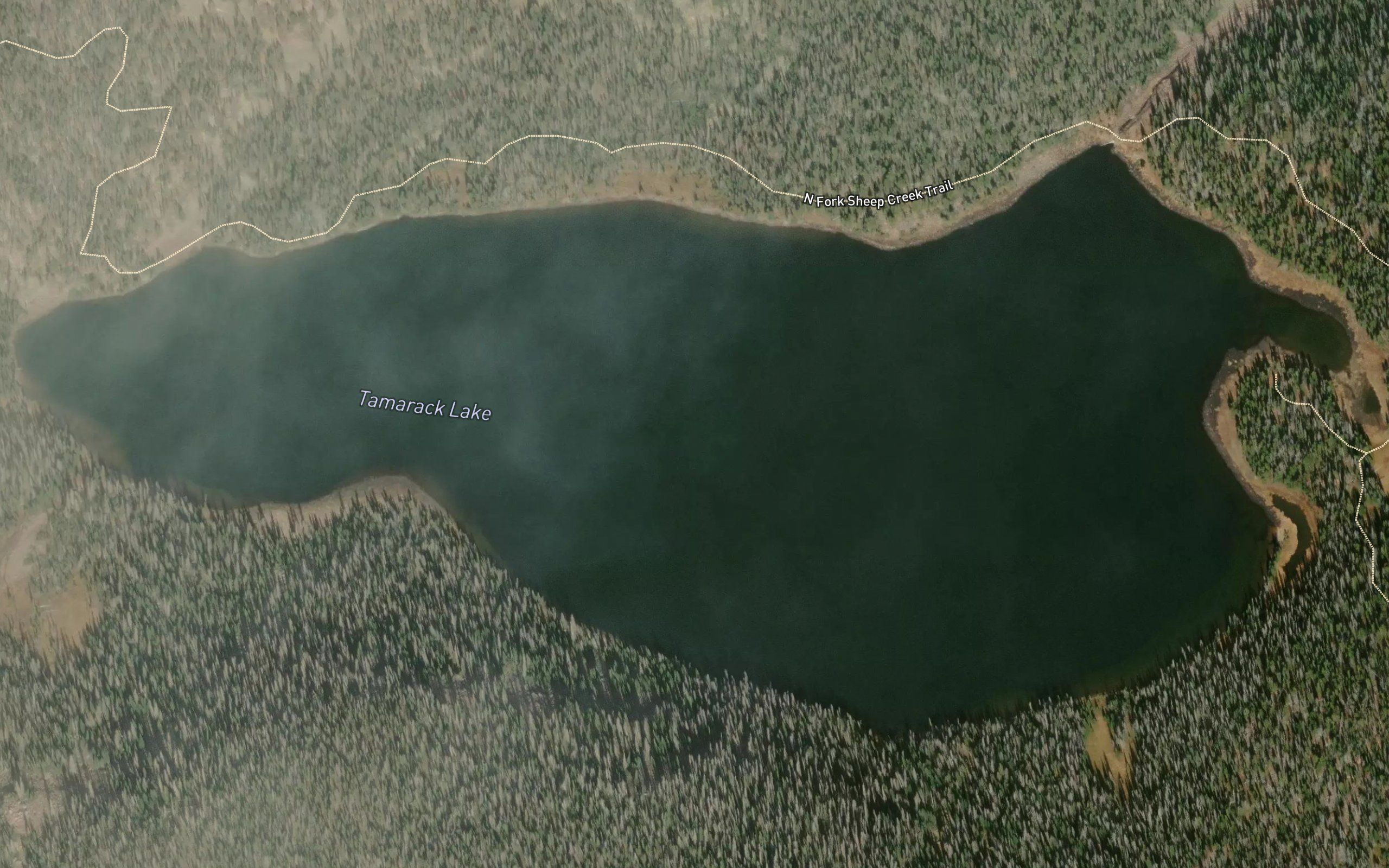 Tamarack Lake