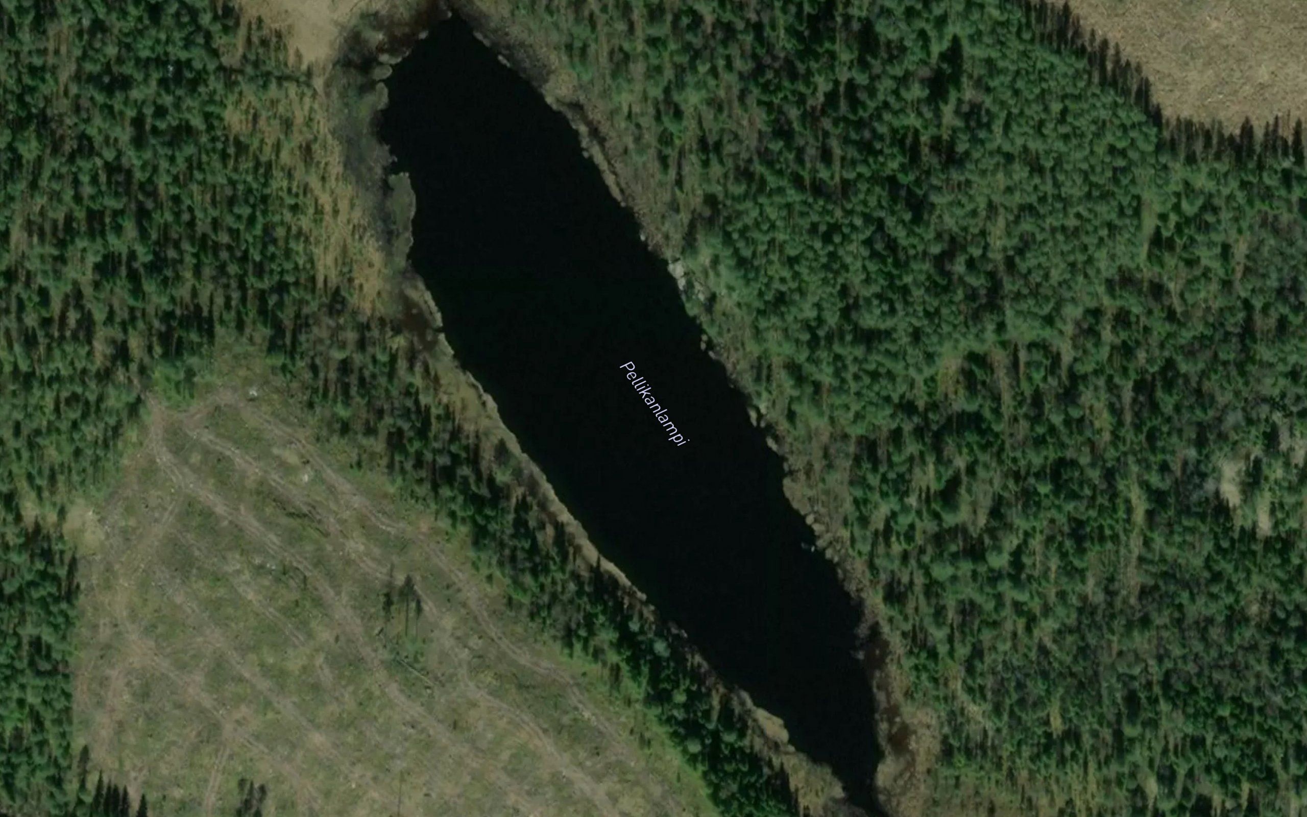 Pellikanlampi