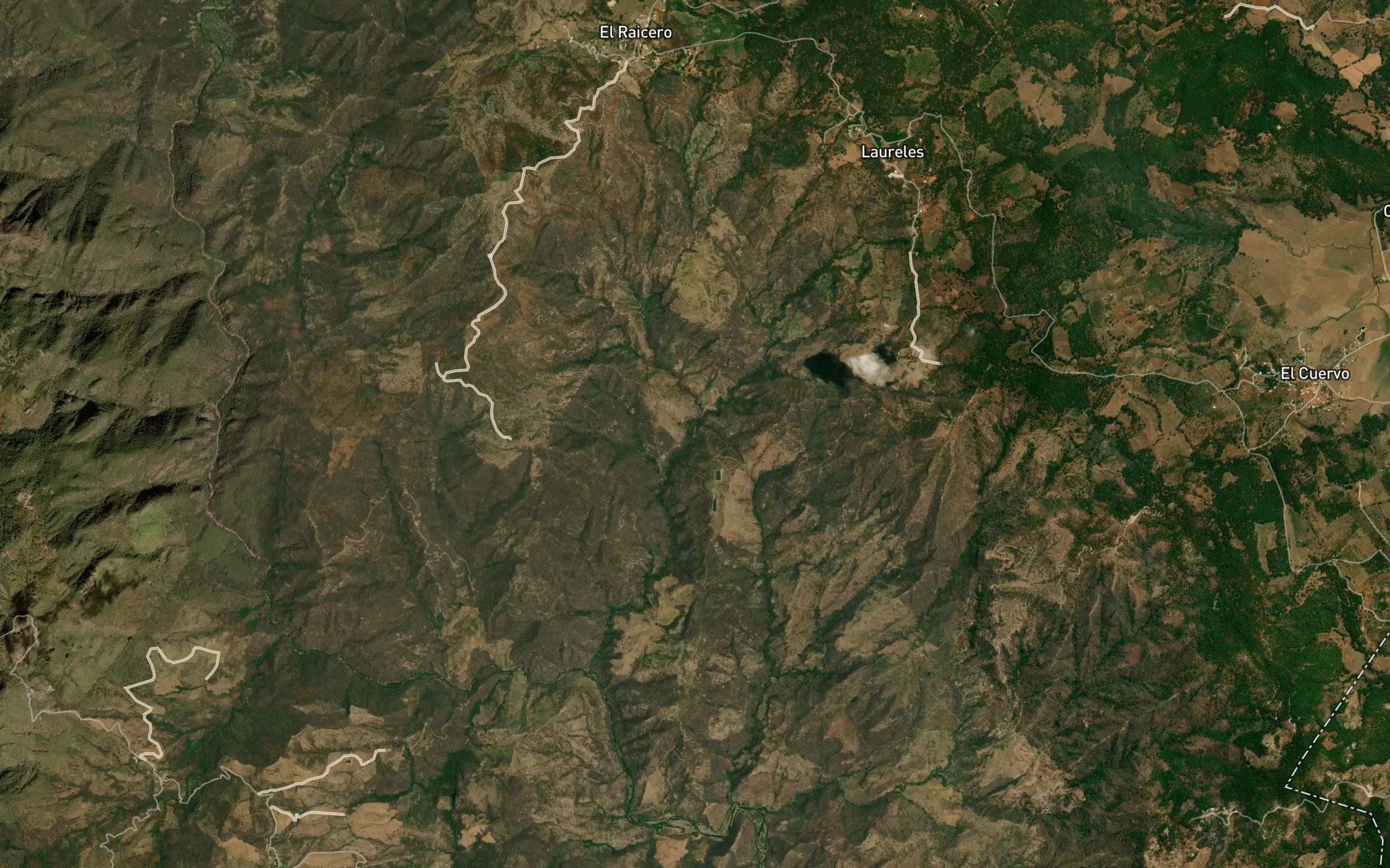 Barranca Verde