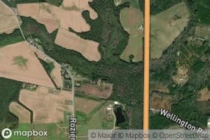 Little Tenmile Swamp