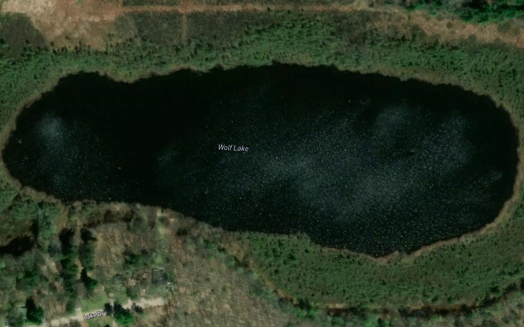 Satellite map of the Wolf Lake