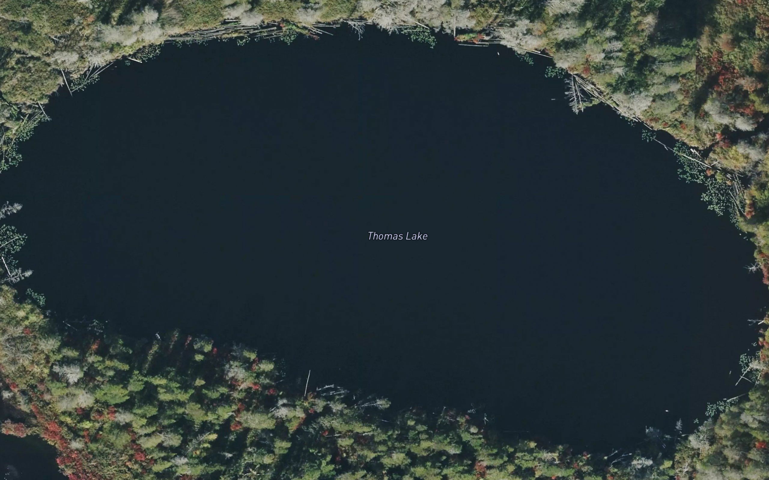 Thomas Lake