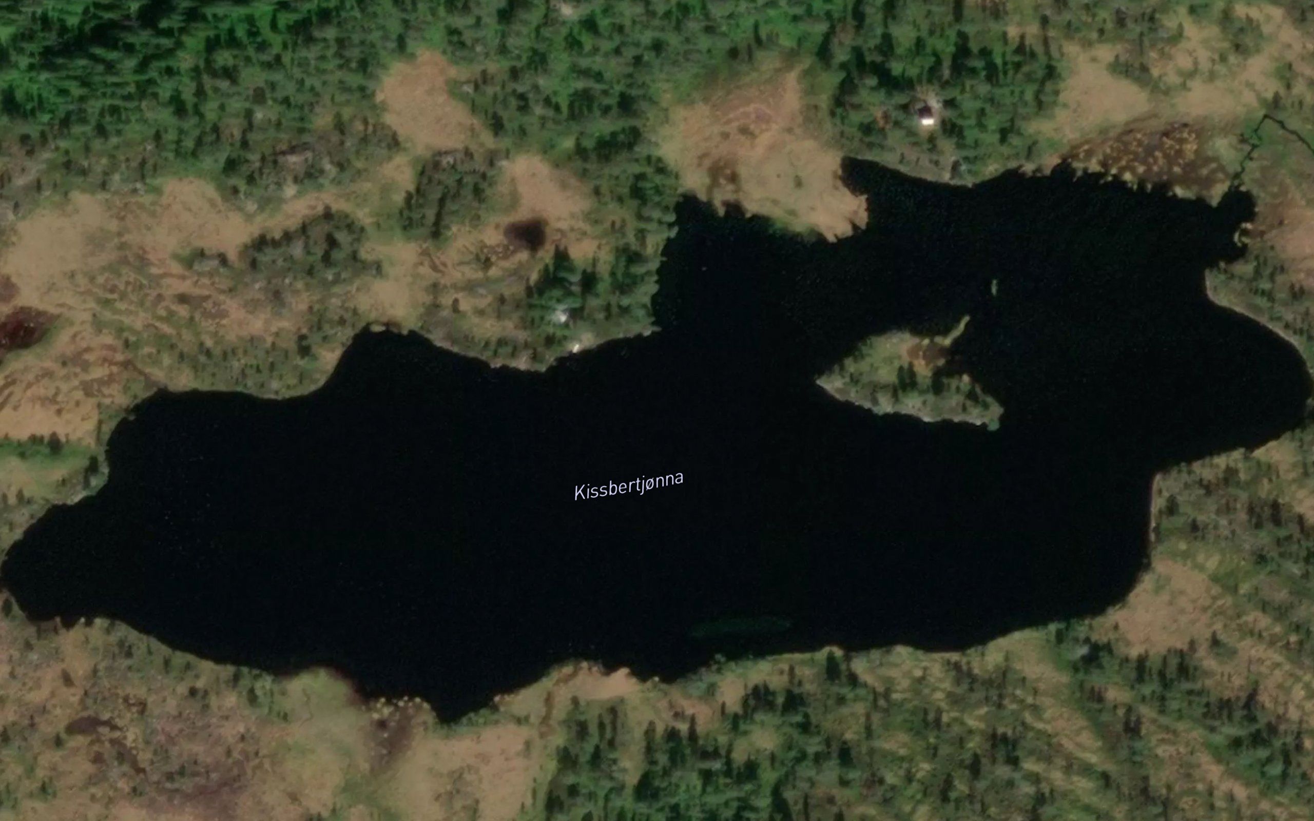 Kirsbertjonna