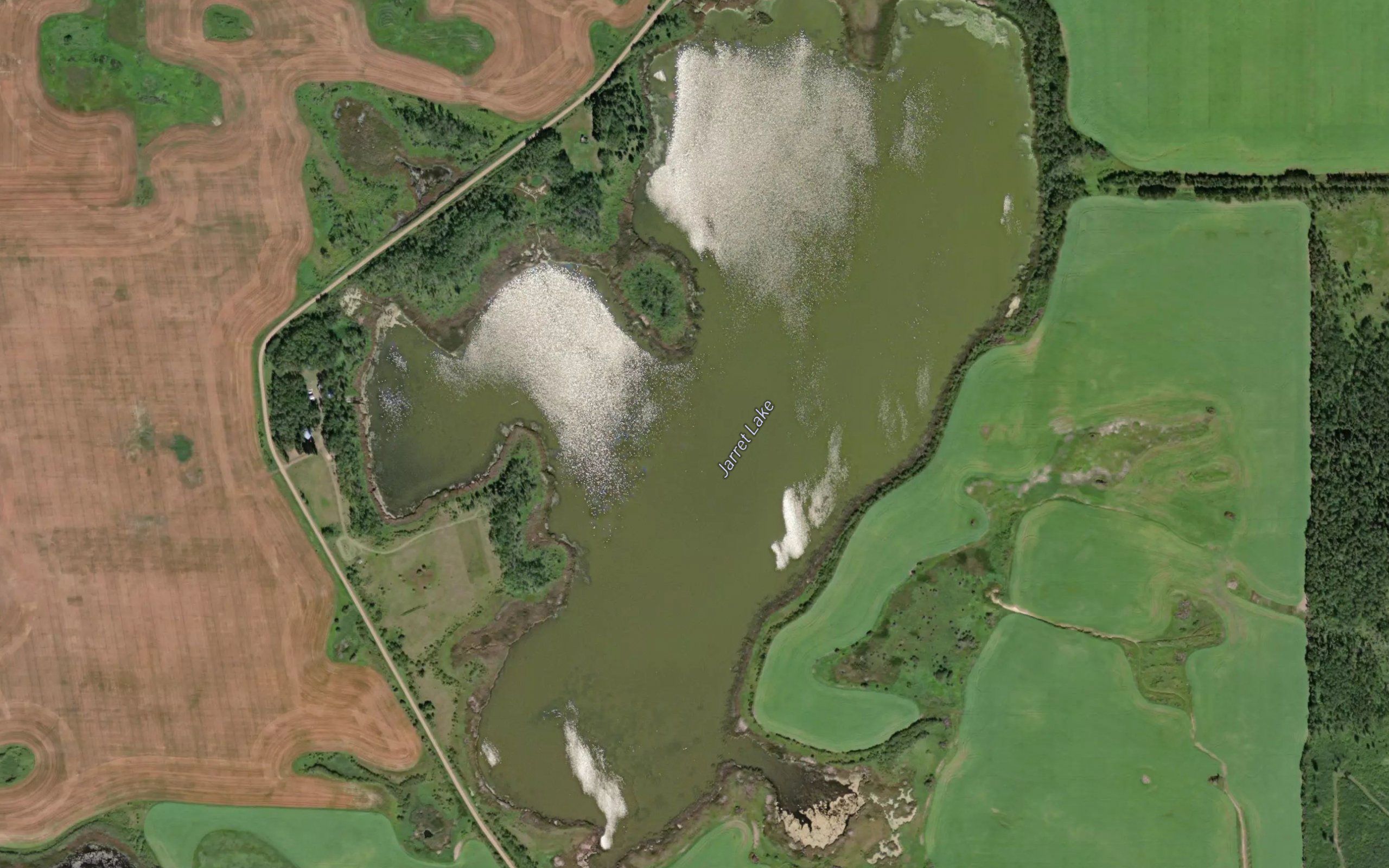 Jarret Lake