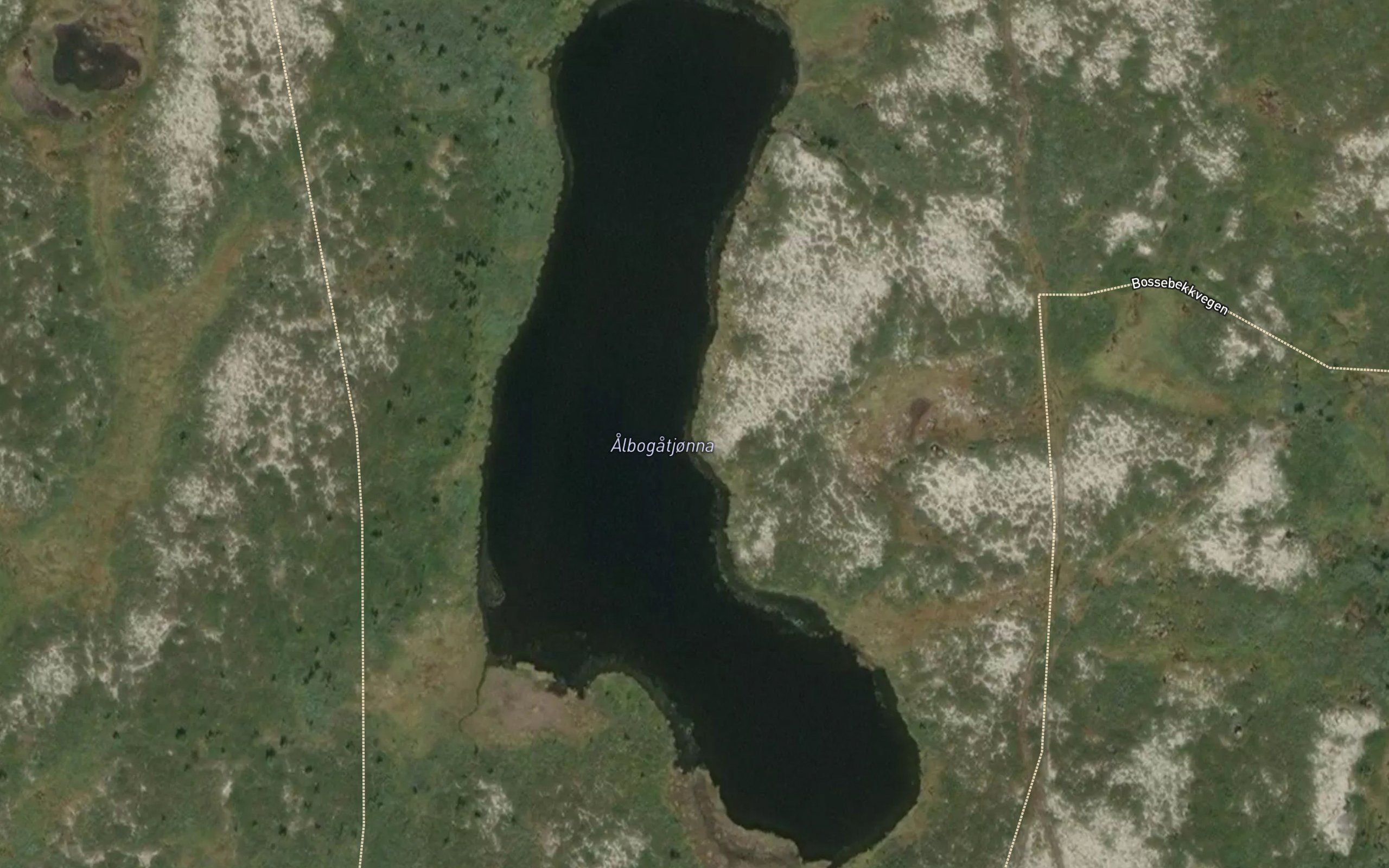 Albogatjonna