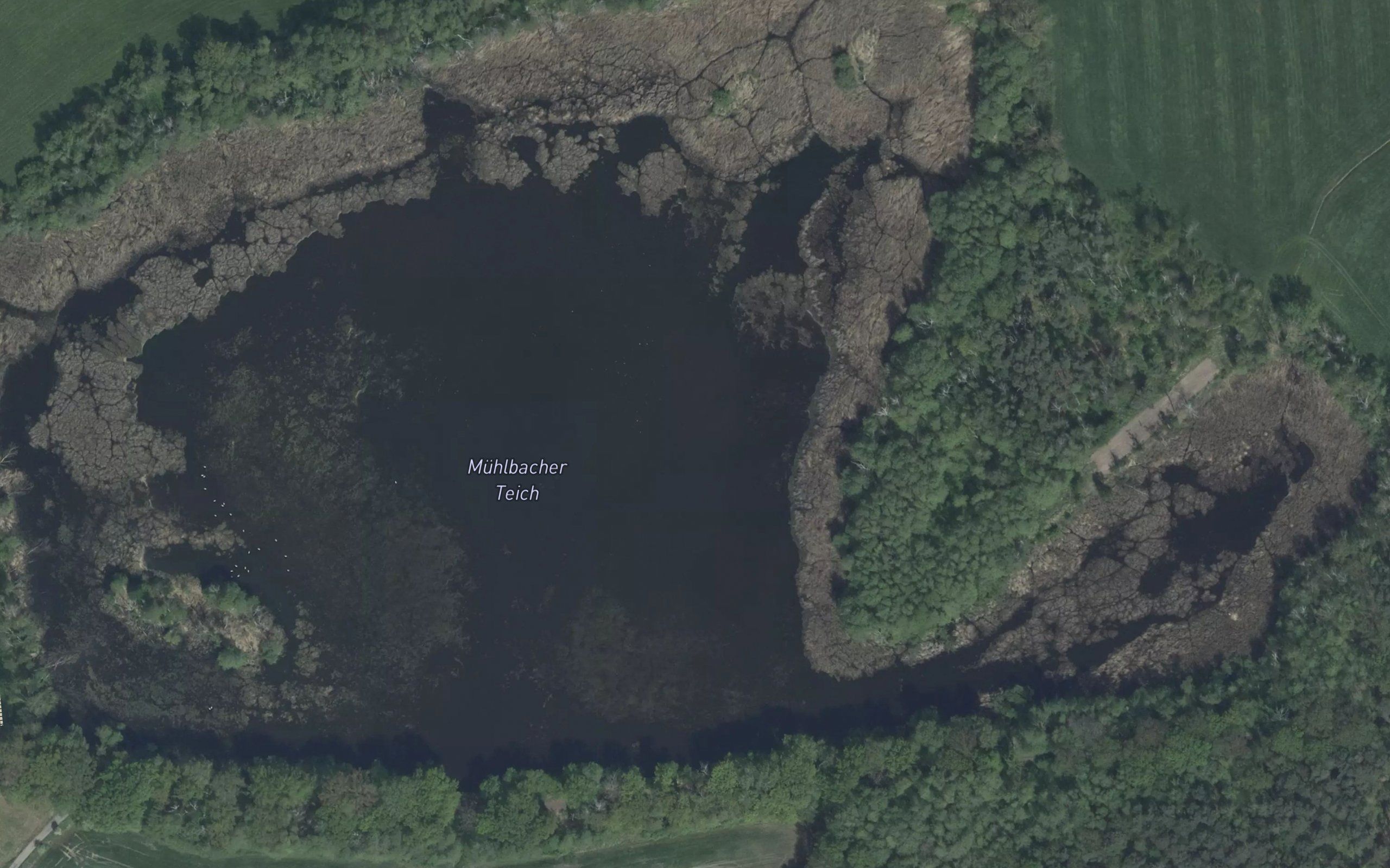 Muhlbacher Teich