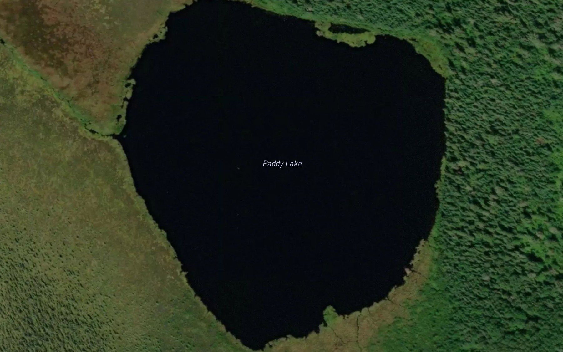Satellite map of the Paddy Lake