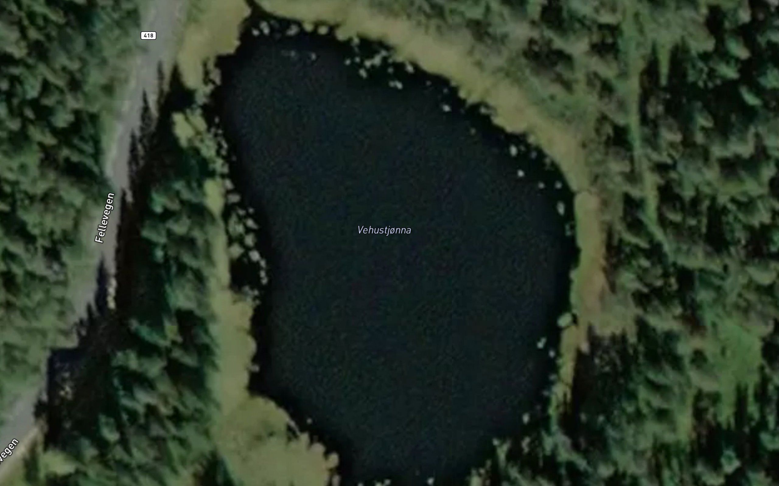Vehustjorna