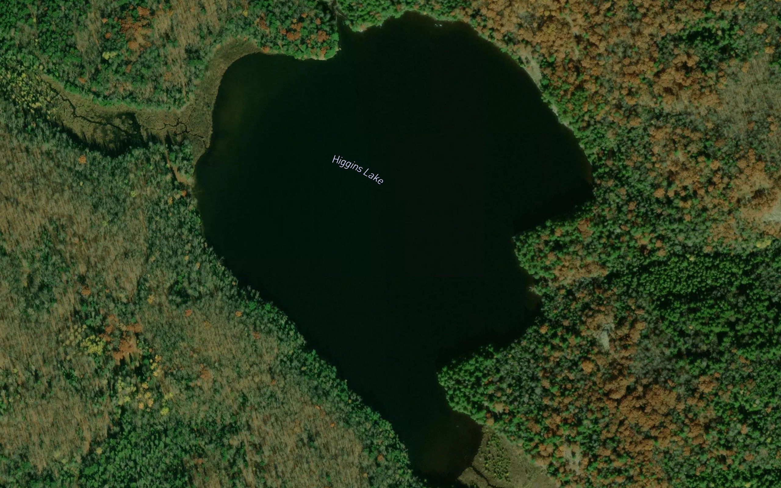 Higgins Lake