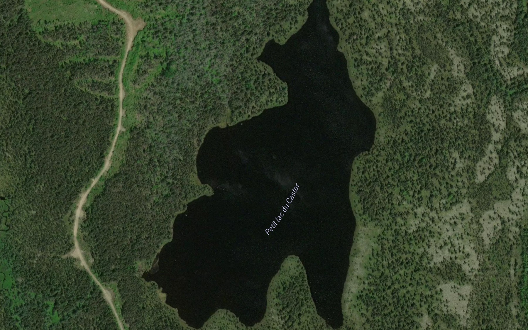 Satellite map of the Petit lac du Castor