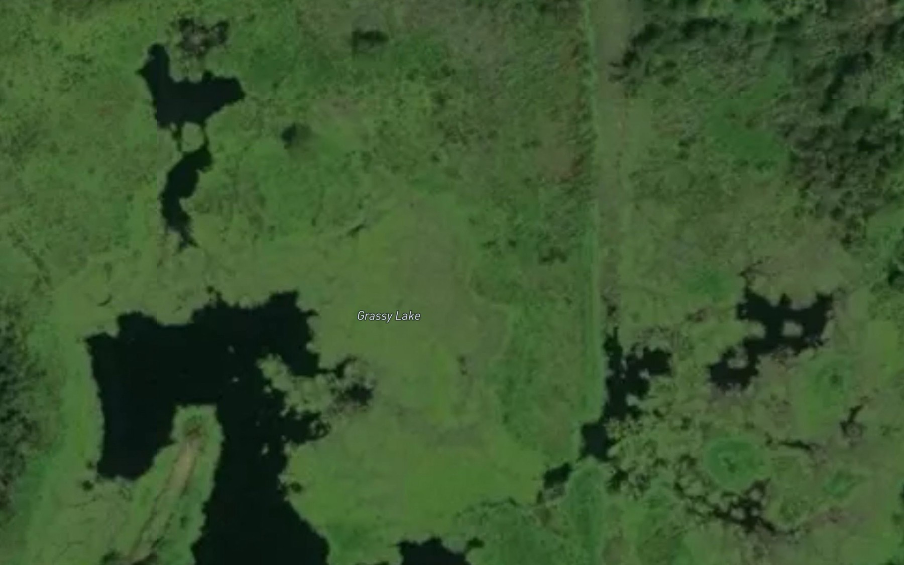 Satellite map of the Grassy Lake
