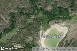 Martin Lake